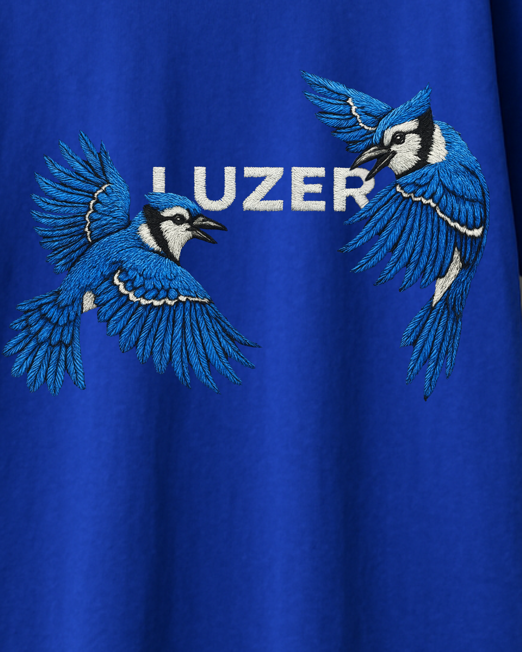 BLUE DOMINION OVERSIZED TEE